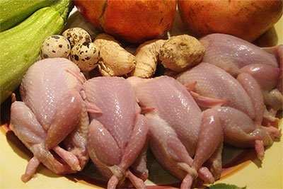 Quail vânătoare fără câine