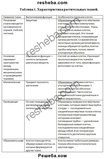 Punctul 10