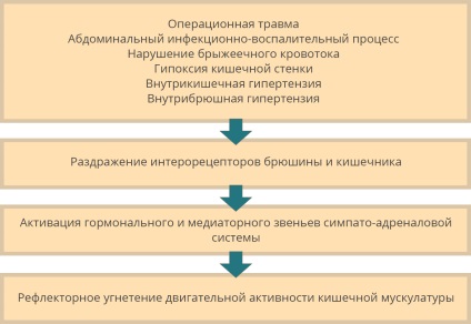 Parezia intestinală și obstrucția intestinală funcțională, dinaton