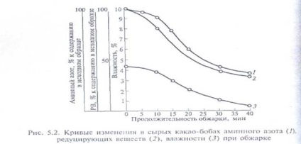 Первинна переробка какао-бобів