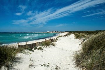 Plajă de trandafiri (es trenc) mallorca mare