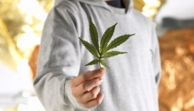 Adolescenți și marijuana cum să determine dependența unui copil