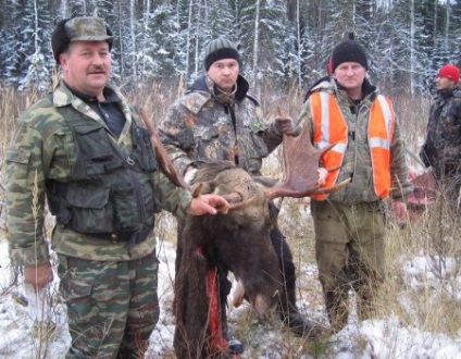 Regulile vânătorii de Elk