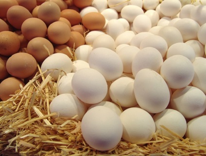 A csirke tojás értékesítése sikeres üzletnek