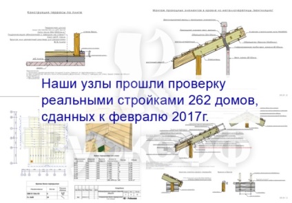 Proiecte de case din lemn stratificat