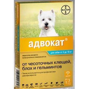 Sebgyógyító készítmények kutyák számára