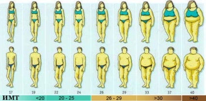 Calculați indicele de masă corporală (IMT)