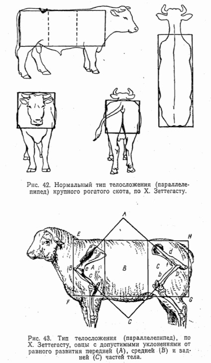 A külső tanok fejlesztése