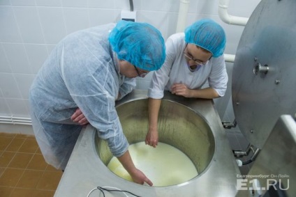 Raportul din laboratorul secret al gigantului de cupru din Ural învață să gătească brânză cu mucegai