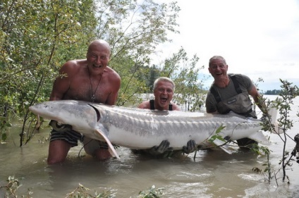 Pescuitul pe Volga în primăvară