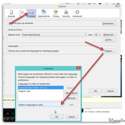 Russificare browserul comodo icedragon (pas cu pas), jurnalul Iraida