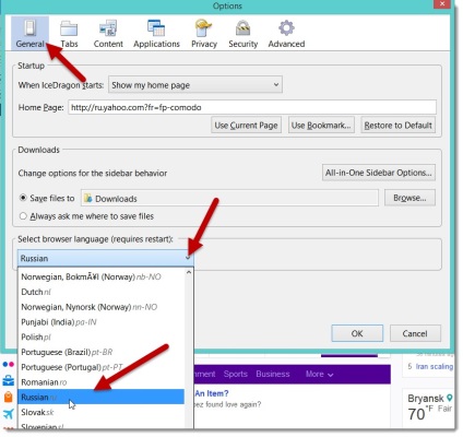 Russificare browserul comodo icedragon (pas cu pas), jurnalul Iraida