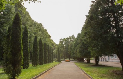 Sanatorium litvinovo în regiunea folclorică Fominsk, rezervare directă, hotlinetrip