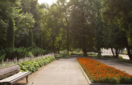 Sanatorium litvinovo în regiunea folclorică Fominsk, rezervare directă, hotlinetrip