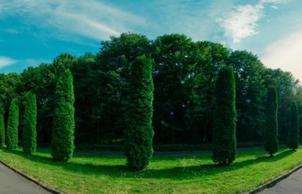 Sanatorium litvinovo în regiunea folclorică Fominsk, rezervare directă, hotlinetrip