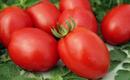 Semințe de tomate de selecție siberiană cele mai productive soiuri cu fotografie și descriere