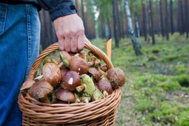 Cea mai puternică rugăciune pentru Maica Domnului este 