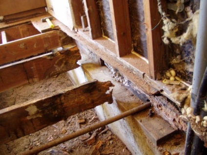 Cât costă casa lemnului pentru a prelungi viața casei de lemn?