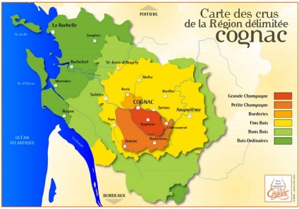 Soiurile și tipurile de coniac în Franța și spațiul post-sovietic