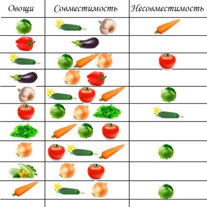 Vecinătatea legumelor în paturi - tabele și reguli de rotație a culturilor