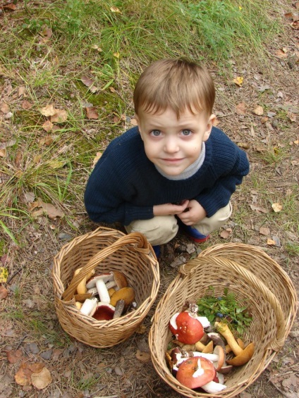 Cu un copil în pădure pentru ciuperci și impresii, iubito