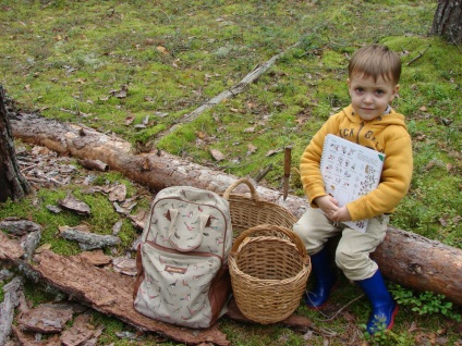 Cu un copil în pădure pentru ciuperci și impresii, iubito