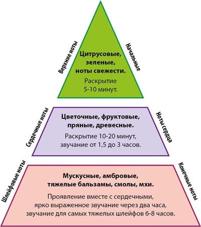 Structura parfumului (piramida olfactivă, deschiderea de note de parfum)