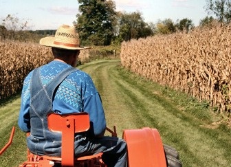 Subvenții pentru un agricultor început în 2014