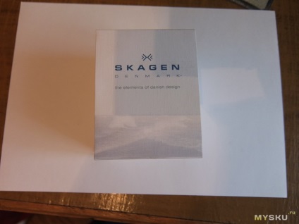 Titanium ceasuri skagen skw6006