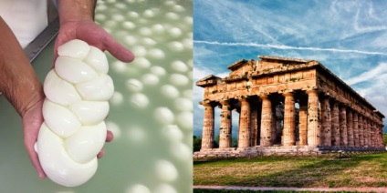 Turul de la Napoli până la producția de mozzarella și orașul antic pestum