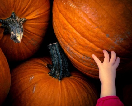 Fotografii uimitoare și imagini de o vacanță minunată de Halloween (Halloween)