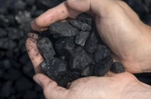 Cărbune, tipurile și proprietățile sale