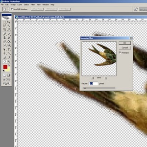 Уроци по Adobe Photoshop - отделено от фона - използването на компресия команди