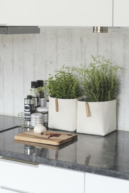 Növekvő gyógynövények a konyhai ötletek díszítésére egy mini kert
