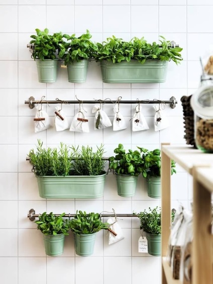 Növekvő gyógynövények a konyhai ötletek díszítésére egy mini kert