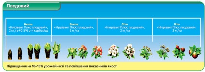 Extra-rădăcină nutreț nutritiv plus ™ fructe