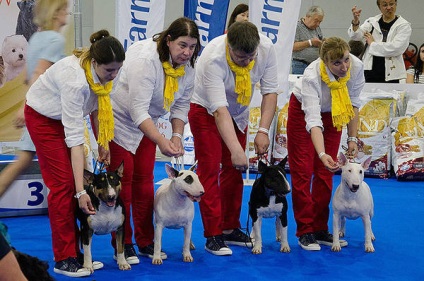 Expoziția mondială de câini de la Moscova
