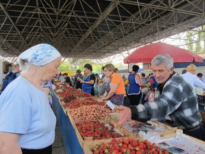 Totul despre vacanța ieftină în Feodosia cu copii în 2017 în cazul în care să trăiască, să mănânce, înot și plimbare