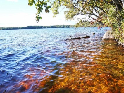 Minden a tóról goraldai (Leningrad régió) választja ki a helyet a halászat és a kikapcsolódás