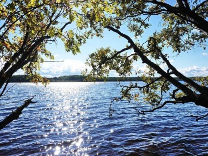 Totul despre lacul goraldai (regiunea Leningrad) alege un loc pentru pescuit și recreere