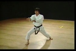Heian Nidan, gyermek- és ifjúsági sportklub karate atemi