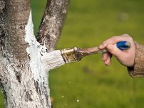 Trucurile de arbori de toamnă și arbori din grădină, un grădinar (gospodărie)