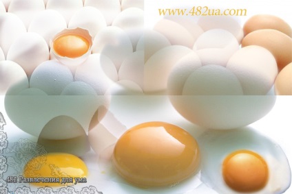 Istoria ouălor, tradițiile, proprietățile utile, gustul copilariei