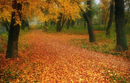 Festői őszi tájak