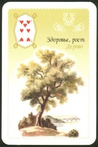 Semnificația unui card de 5 copaci Lennorman (7 viermi)