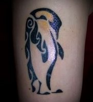 Înțeles tattoo penguin meaning, story, photo, sketches of tattoo drawings