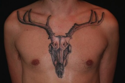 Înțeles tattoo (tattoo) deer