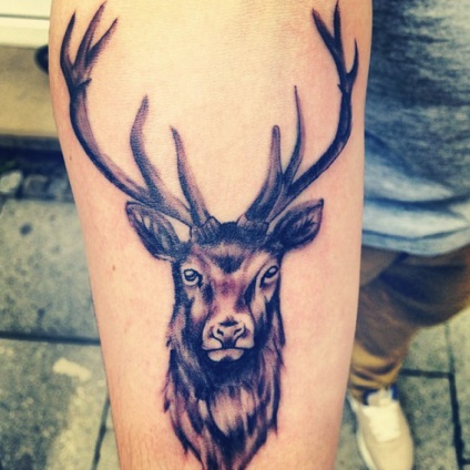 Înțeles tattoo (tattoo) deer