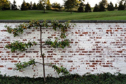 100 cele mai bune idei frumos gard cărămidă cu stâlpi pe fotografie