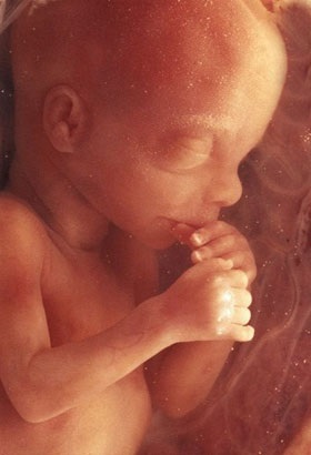 12 Terhességi fotó, szenzáció, magzat fejlődése